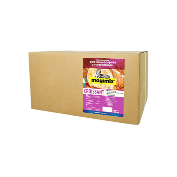 MAGIMIX VIOLETAX 500GR CX24UND