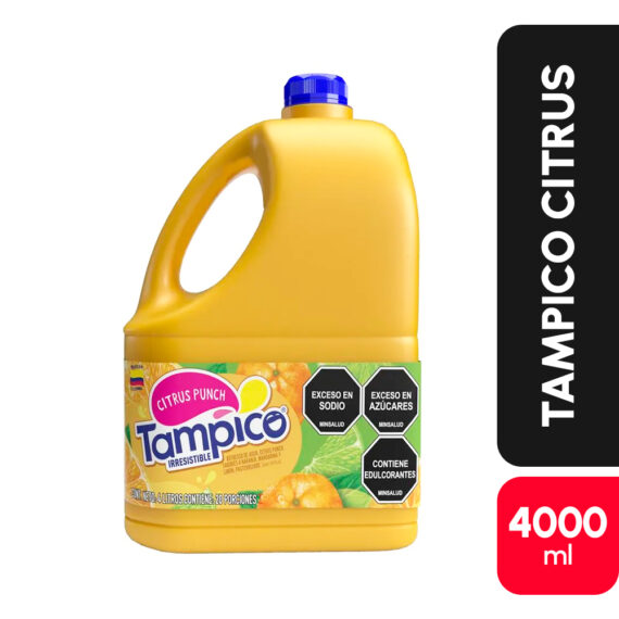 JUGO TAMPICO CITRUS POTEX4000ML